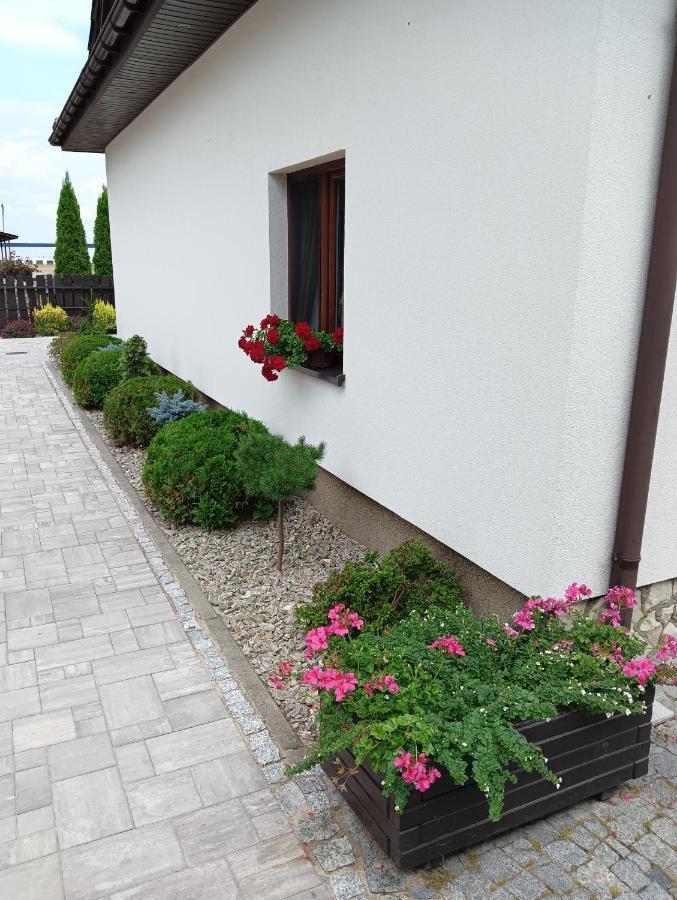 Zacisze Apartment Rozalin  Exterior photo