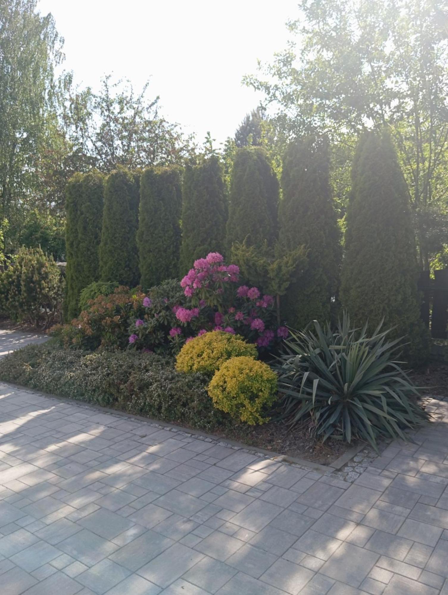 Zacisze Apartment Rozalin  Exterior photo